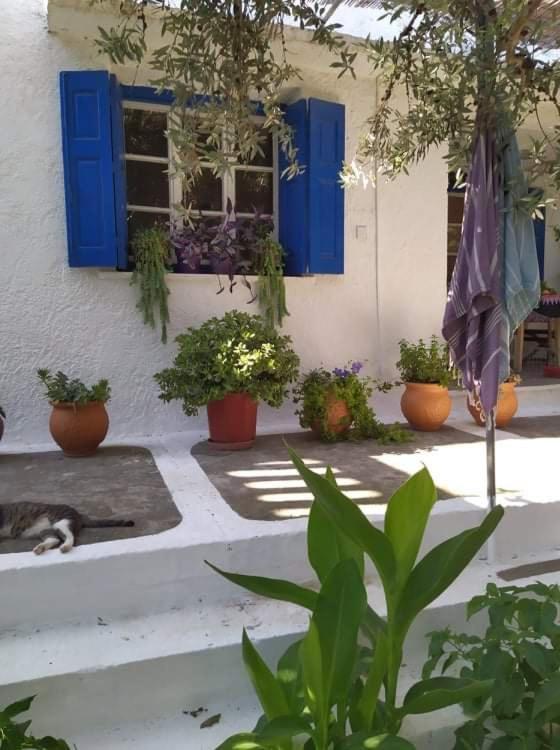 Stamoulis Apartments Kampos Marathokampou Dış mekan fotoğraf
