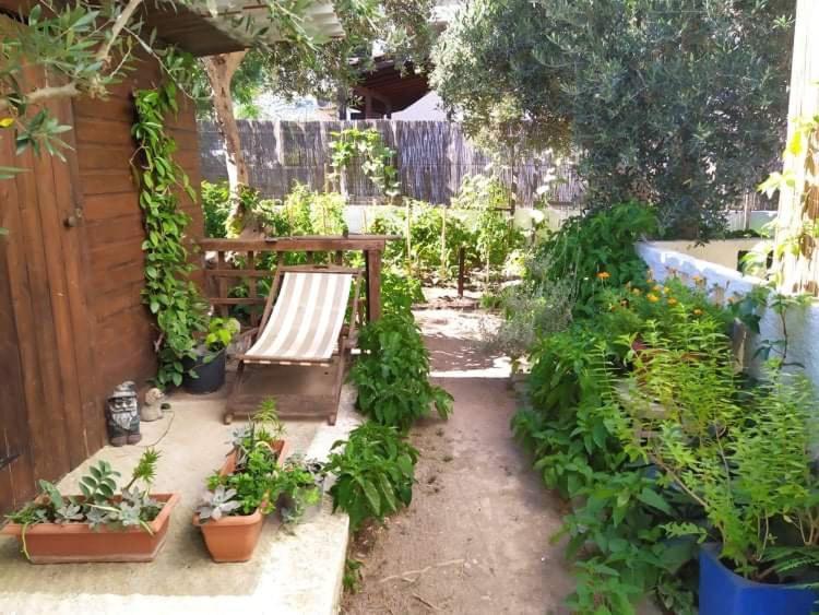 Stamoulis Apartments Kampos Marathokampou Dış mekan fotoğraf