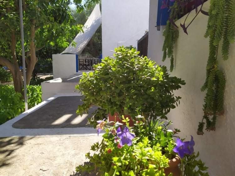 Stamoulis Apartments Kampos Marathokampou Dış mekan fotoğraf