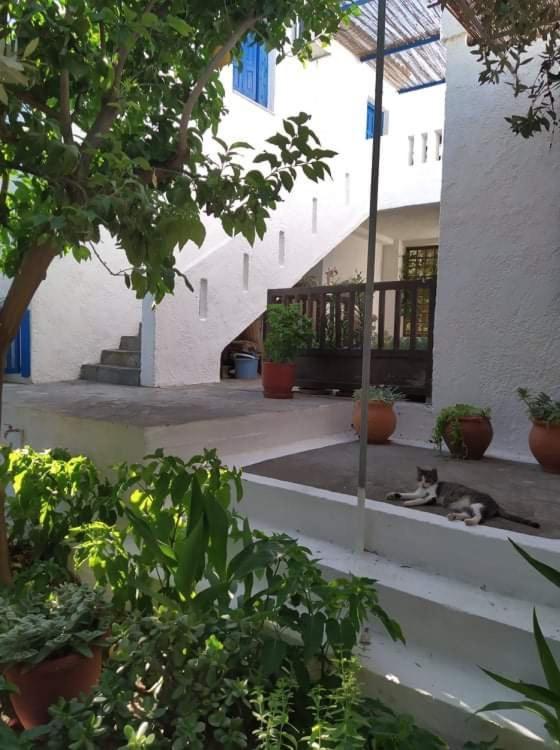 Stamoulis Apartments Kampos Marathokampou Dış mekan fotoğraf